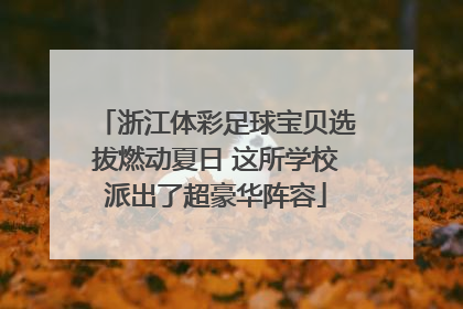 浙江体彩足球宝贝选拔燃动夏日 这所学校派出了超豪华阵容