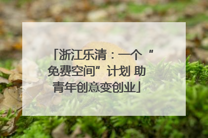 浙江乐清：一个“免费空间”计划 助青年创意变创业