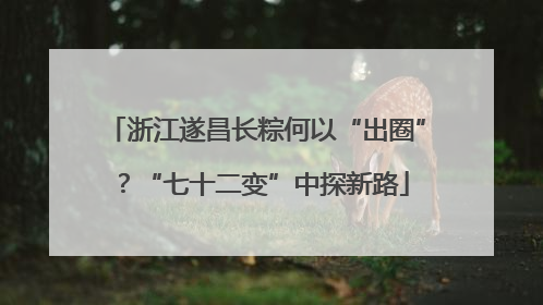 浙江遂昌长粽何以“出圈”？“七十二变”中探新路