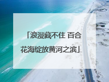 浪漫藏不住 百合花海绽放黄河之滨