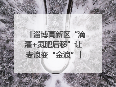 淄博高新区“滴灌+氮肥后移”让麦浪变“金浪”