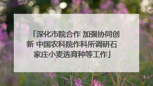 深化市院合作 加强协同创新 中国农科院作科所调研石家庄小麦选育种等工作