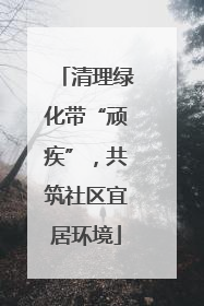 清理绿化带“顽疾”，共筑社区宜居环境