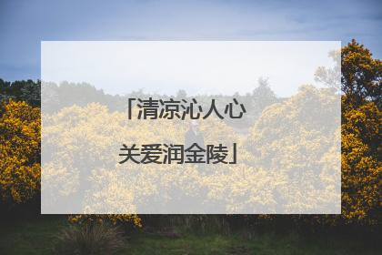 清凉沁人心 关爱润金陵