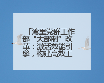 湾里党群工作部“大部制”改革：激活效能引擎，构建高效工作新格局