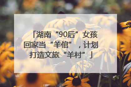 湖南“90后”女孩回家当“羊倌”，计划打造文旅“羊村”