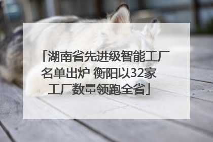 湖南省先进级智能工厂名单出炉 衡阳以32家工厂数量领跑全省