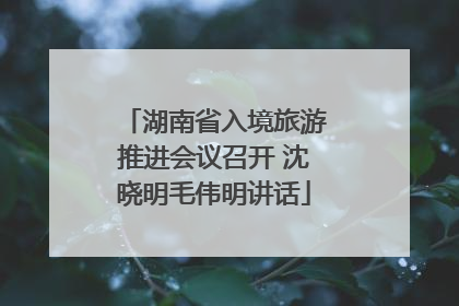 湖南省入境旅游推进会议召开 沈晓明毛伟明讲话