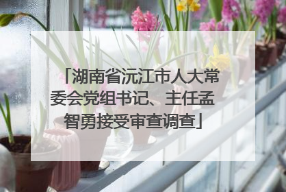湖南省沅江市人大常委会党组书记、主任孟智勇接受审查调查