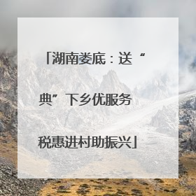 湖南娄底：送“典”下乡优服务 税惠进村助振兴