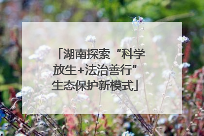 湖南探索“科学放生+法治善行”生态保护新模式