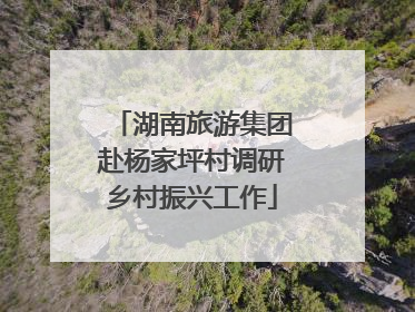 湖南旅游集团赴杨家坪村调研乡村振兴工作