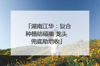 湖南江华：复合种植结硕果 龙头兜底助增收