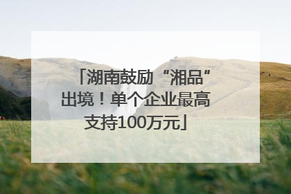 湖南鼓励“湘品”出境！单个企业最高支持100万元