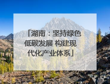 湖南：坚持绿色低碳发展 构建现代化产业体系