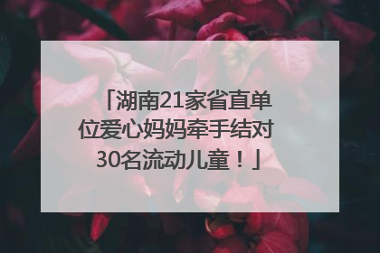 湖南21家省直单位爱心妈妈牵手结对30名流动儿童！