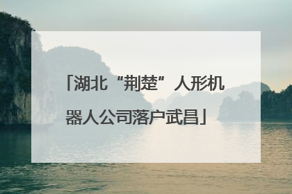 湖北“荆楚”人形机器人公司落户武昌