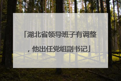 湖北省领导班子有调整，他出任党组副书记
