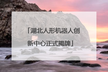 湖北人形机器人创新中心正式揭牌