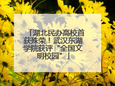 湖北民办高校首获殊荣！武汉东湖学院获评“全国文明校园”