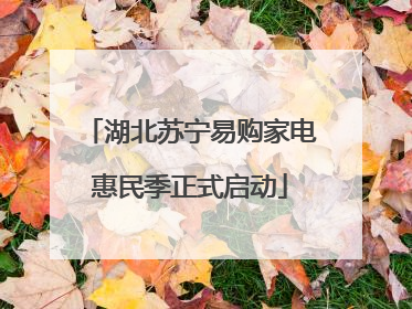 湖北苏宁易购家电惠民季正式启动