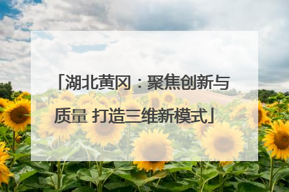 湖北黄冈：聚焦创新与质量 打造三维新模式