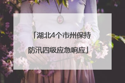湖北4个市州保持防汛四级应急响应