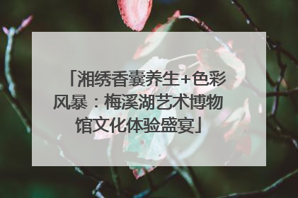 湘绣香囊养生+色彩风暴：梅溪湖艺术博物馆文化体验盛宴