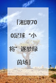 湘潭700足球“小将”逐梦绿茵场