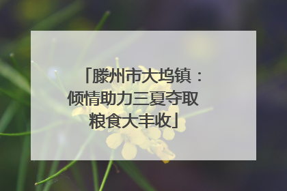 滕州市大坞镇：倾情助力三夏夺取粮食大丰收