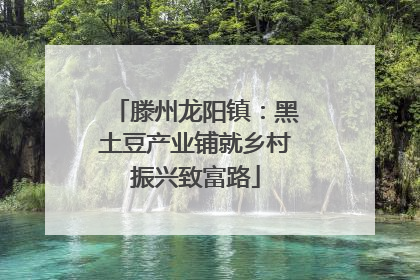 滕州龙阳镇：黑土豆产业铺就乡村振兴致富路