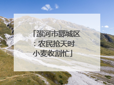 漯河市郾城区：农民抢天时 小麦收割忙
