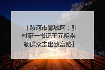 漯河市郾城区：驻村第一书记王元明带领群众走出致富路