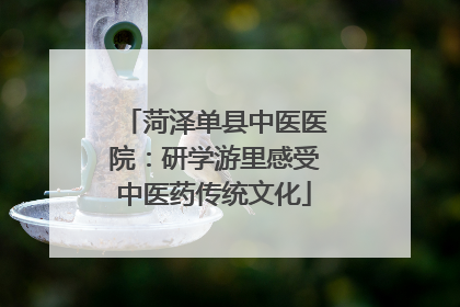 菏泽单县中医医院：研学游里感受中医药传统文化