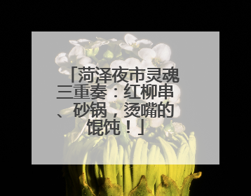 菏泽夜市灵魂三重奏：红柳串、砂锅，烫嘴的馄饨！