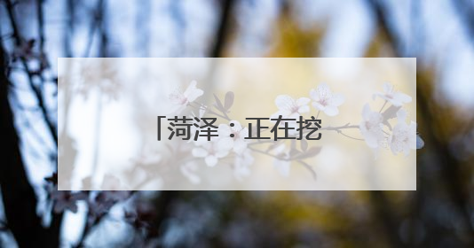 菏泽：正在挖掘“一朵牡丹花”的无限生机