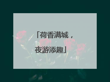 荷香满城，夜游添趣