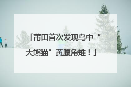莆田首次发现鸟中“大熊猫”黄腹角雉！