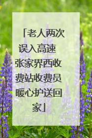 老人两次误入高速 张家界西收费站收费员暖心护送回家
