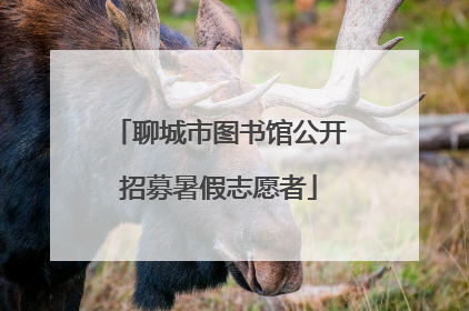 聊城市图书馆公开招募暑假志愿者