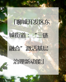 聊城开发区东城街道：“三链融合”激活基层治理新动能