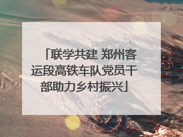 联学共建 郑州客运段高铁车队党员干部助力乡村振兴