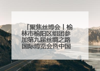 聚焦丝博会丨榆林市榆阳区组团参加第九届丝绸之路国际博览会暨中国东西部合作与投资贸易洽谈会