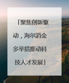 聚焦创新驱动，海尔消金多举措推动科技人才发展