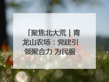 聚焦北大荒｜青龙山农场：党建引领聚合力 为民服务践初心