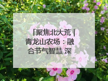 聚焦北大荒｜青龙山农场：融合节气智慧 深耕安全沃土