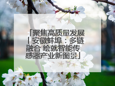 聚焦高质量发展丨安徽蚌埠：多链融合 绘就智能传感器产业新图景