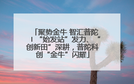 聚势金牛 智汇普陀〡“始发站”发力、“创新田”深耕，普陀科创“金牛”闪耀
