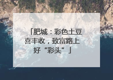 肥城：彩色土豆喜丰收，致富路上好“彩头”