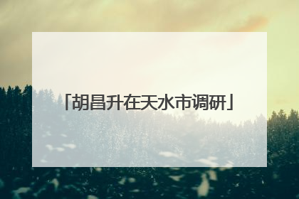 胡昌升在天水市调研